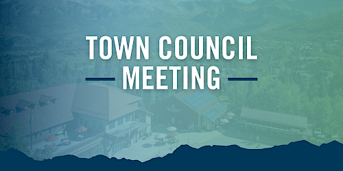Mountain Village Town Council