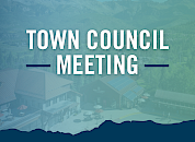Mountain Village Town Council