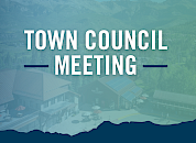 Mountain Village Town Council